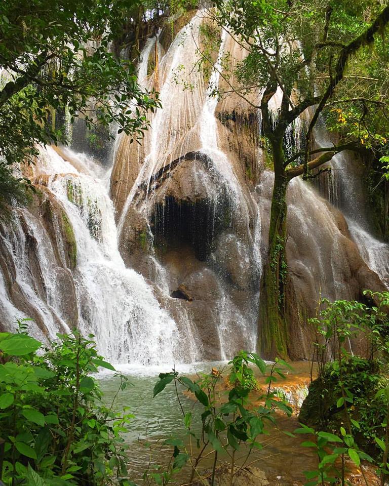 13082770_1346153588735004_5196445335184348612_n