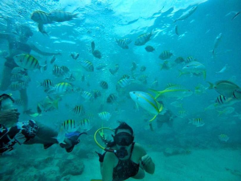 14993373_1534774319872929_7518056541564707184_n