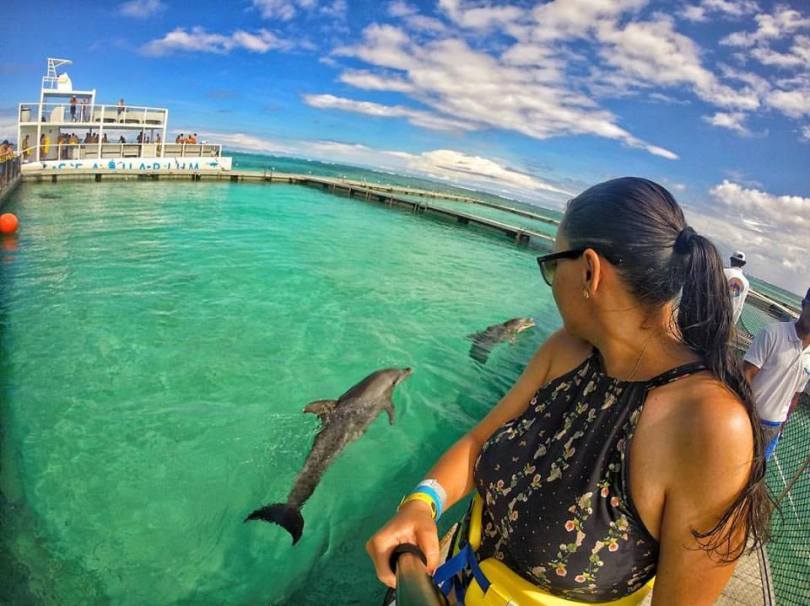 15037135_1546743038676057_7895181215302413798_n