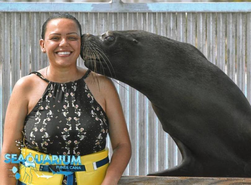 15073479_1538588792824815_4246827684023672173_n