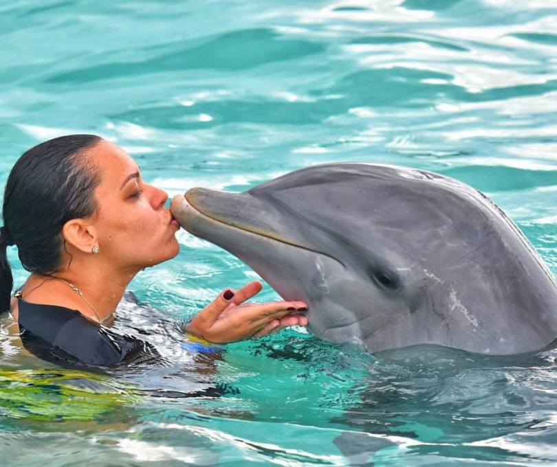 18557417_306885766428000_3806631443547301687_n