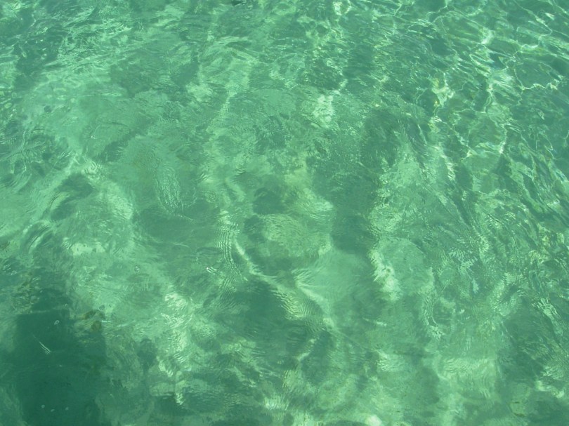 DSCN0585